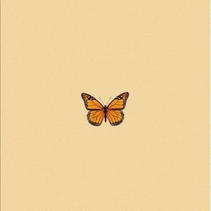 Meet your Posher, Yanj